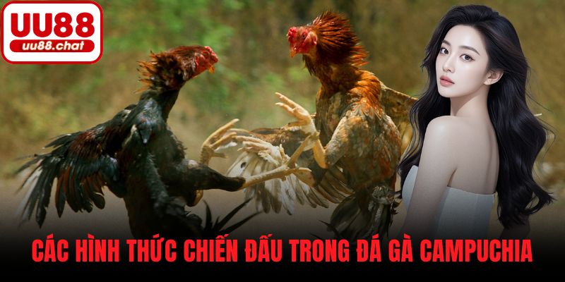 Các hình thức chiến đấu trong đá gà Campuchia
