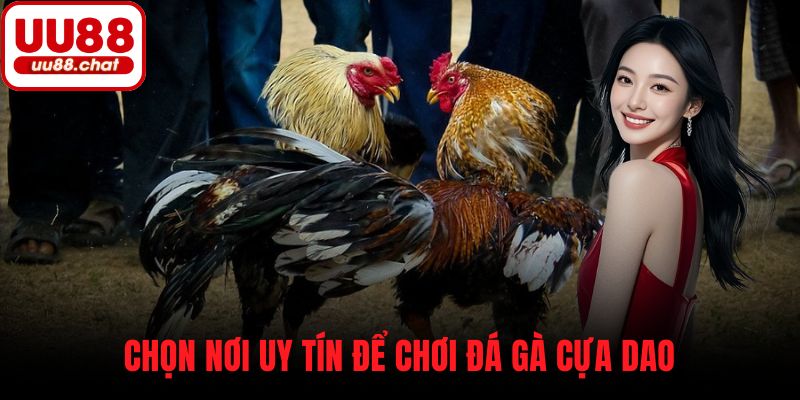 Chọn nơi uy tín để chơi đá gà cựa dao