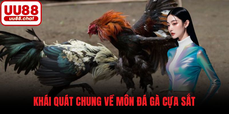 Khái quát chung về môn đá gà cựa sắt