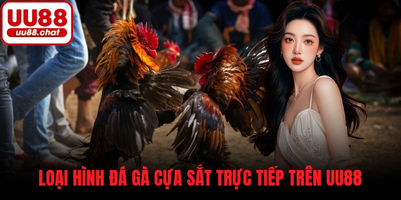 Loại hình đá gà cựa sắt trực tiếp trên UU88