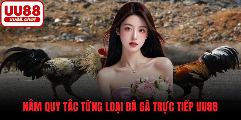 Nắm quy tắc từng loại đá gà trực tiếp UU88