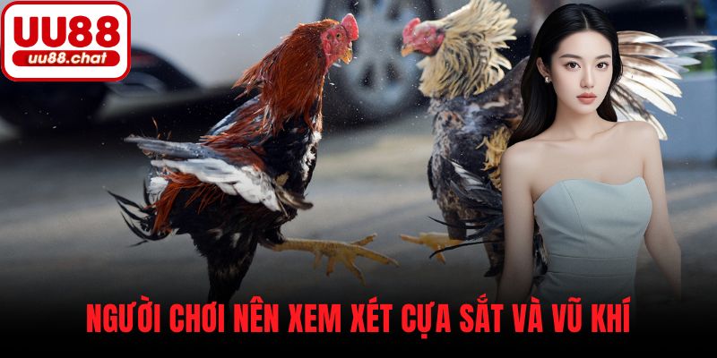 Người chơi nên xem xét cựa sắt và vũ khí
