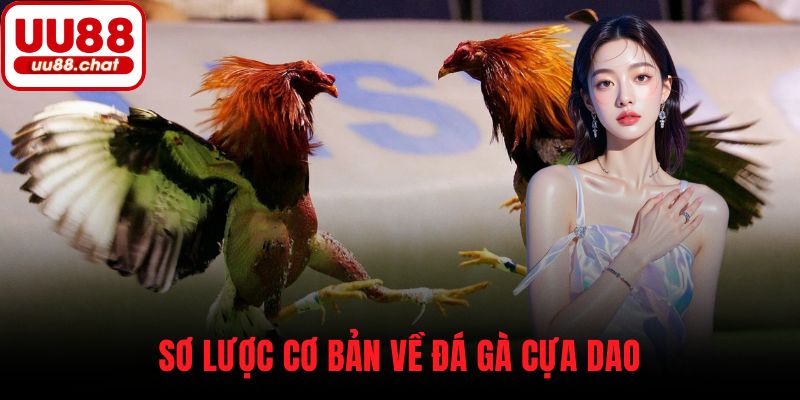 Sơ lược cơ bản về đá gà cựa dao