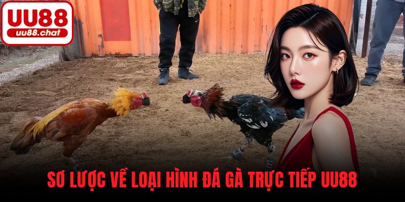 Sơ lược về loại hình đá gà trực tiếp UU88